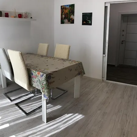 Calendula * Бургас