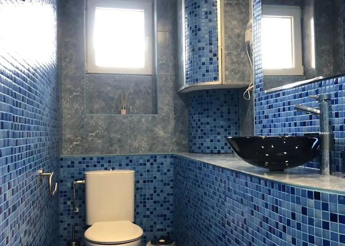 Calendula * بورغاس